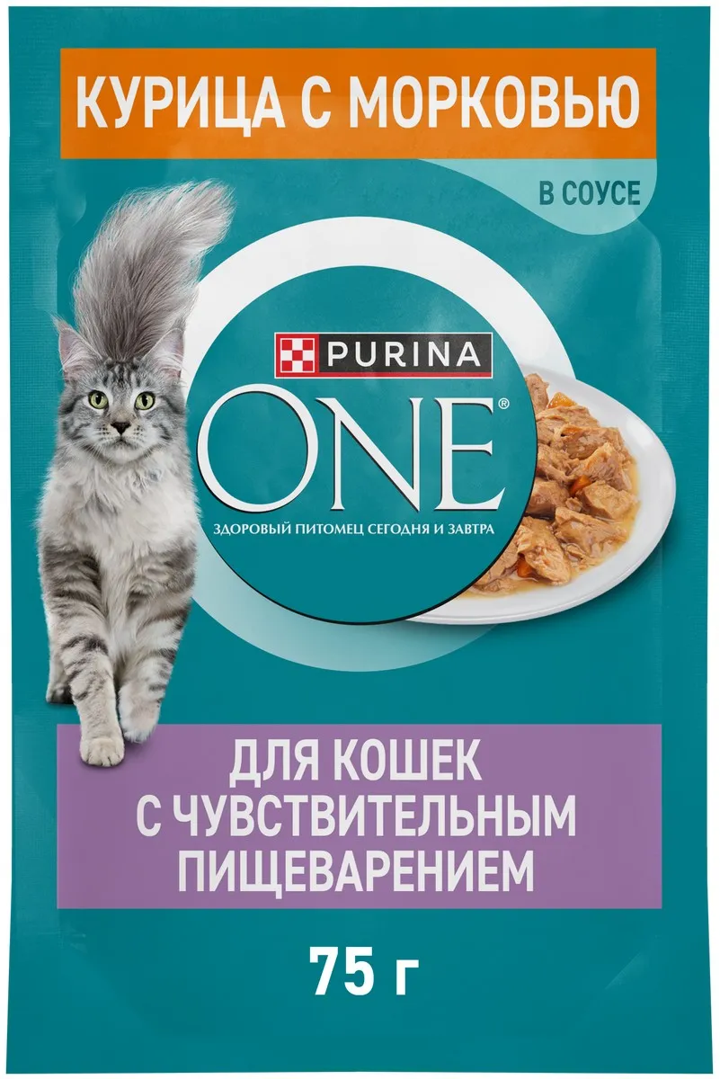 КормдлякошекPURINAONEскурицей75г