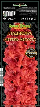 Луковицы гладиолус Русский Огород Метель августа 3шт