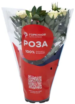 Картинка товара
